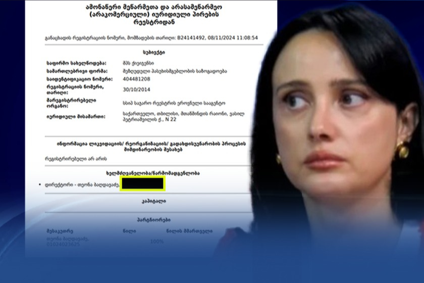 თეონა ბაღდავაძე - ოპოზიციონერი აქტივისტი, რომელიც რუსეთს ღიად ებრძვის, ფარულად კი მისგან სარგებელს იღებს და რუსულ კომპანია „ვაილდბერიზთან