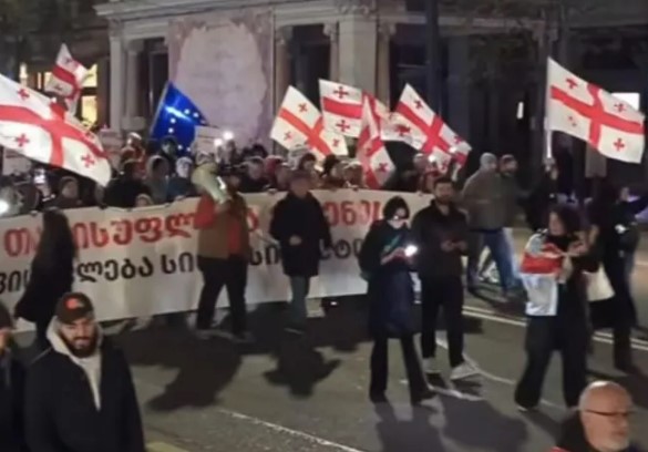 ლოზუნგით - ,,თავისუფლება ელენეს და სინდისის პატიმრებს” ფილარმონიიდან პარლამენტამდე საპროტესტო მარში მოეწყო